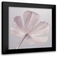 thumbnail image 1 of Frank, Assaf 15x15 Black Modern Framed Museum Art Print Titled - Tulip flower - Closeup, 1 of 5