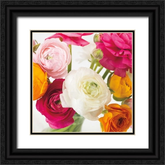 Frank, Assaf 15x15 Black Ornate Wood Framed with Double Matting Museum Art Print Titled - Burst of Sunshine I