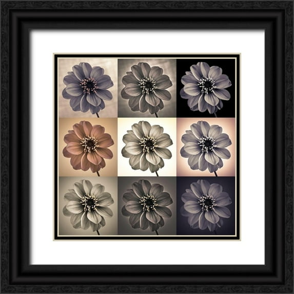 Frank, Assaf 15x15 Black Ornate Wood Framed with Double Matting Museum Art Print Titled - Collage of Dahlias flowers