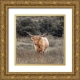 thumbnail image 1 of Frank, Assaf 15x15 Gold Ornate Wood Framed with Double Matting Museum Art Print Titled - Highland Cow I, 1 of 4