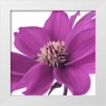 thumbnail image 1 of Frank, Assaf 15x15 White Modern Wood Framed Museum Art Print Titled - AF20110714 Dahlia 107C16, 1 of 4