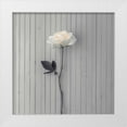thumbnail image 1 of Frank, Assaf 15x15 White Modern Wood Framed Museum Art Print Titled - Rose on table, 1 of 4