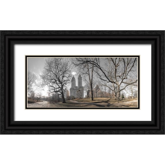 Frank, Assaf 18x10 Black Ornate Wood Framed with Double Matting Museum Art Print Titled - Lower Manhattan cityscape from Central park, New York