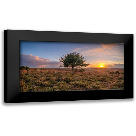 Frank, Assaf 18x11 Black Modern Framed Museum Art Print Titled - Single tree in meadow