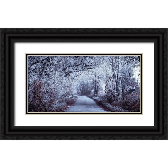 Frank, Assaf 18x11 Black Ornate Wood Framed with Double Matting Museum Art Print Titled - Frosted road through forest