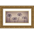 thumbnail image 1 of Frank, Assaf 18x11 Gold Ornate Wood Framed with Double Matting Museum Art Print Titled - AF20120914 Gerberas 109C01, 1 of 4
