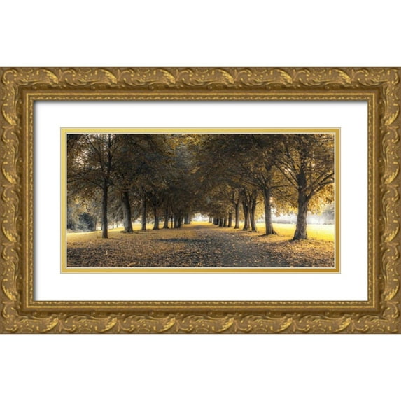 Frank, Assaf 18x11 Gold Ornate Wood Framed with Double Matting Museum Art Print Titled - Pathway through trees in forest