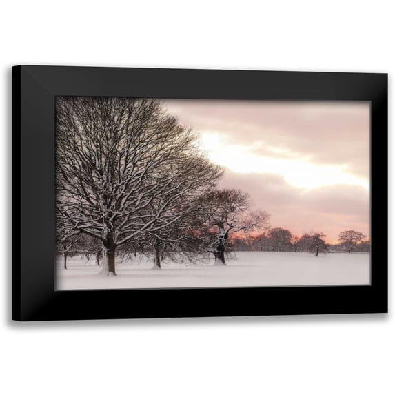 Frank, Assaf 18x13 Black Modern Framed Museum Art Print Titled - Rosy Sunset
