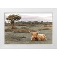 thumbnail image 1 of Frank, Assaf 18x13 White Modern Wood Framed Museum Art Print Titled - Highland Cow II, 1 of 4