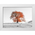 thumbnail image 1 of Frank, Assaf 18x14 White Modern Wood Framed Museum Art Print Titled - Tree on a hill, 1 of 4