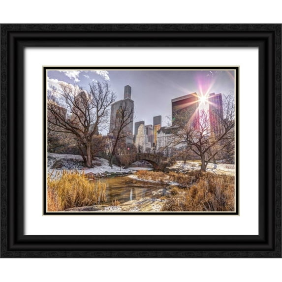 Frank, Assaf 18x15 Black Ornate Wood Framed with Double Matting Museum Art Print Titled - Central park with Lower Manhattan skyline, New York