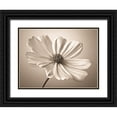 thumbnail image 1 of Frank, Assaf 18x15 Black Ornate Wood Framed with Double Matting Museum Art Print Titled - Cosmos flower, 1 of 4