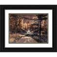 thumbnail image 1 of Frank, Assaf 18x15 Black Ornate Wood Framed with Double Matting Museum Art Print Titled - Evening view of Central Park in New York City, 1 of 4