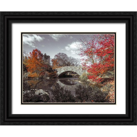Frank, Assaf 18x15 Black Ornate Wood Framed with Double Matting Museum Art Print Titled - Gapstow bridge in the Autumn, Central park, New York