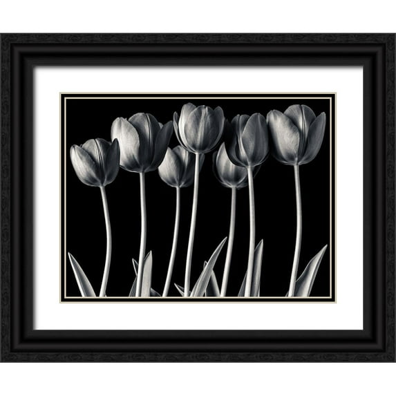 Frank, Assaf 18x15 Black Ornate Wood Framed with Double Matting Museum Art Print Titled - Growing Tulips, FTBR-1817