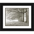 thumbnail image 1 of Frank, Assaf 18x15 Black Ornate Wood Framed with Double Matting Museum Art Print Titled - Trees in a row, 1 of 4