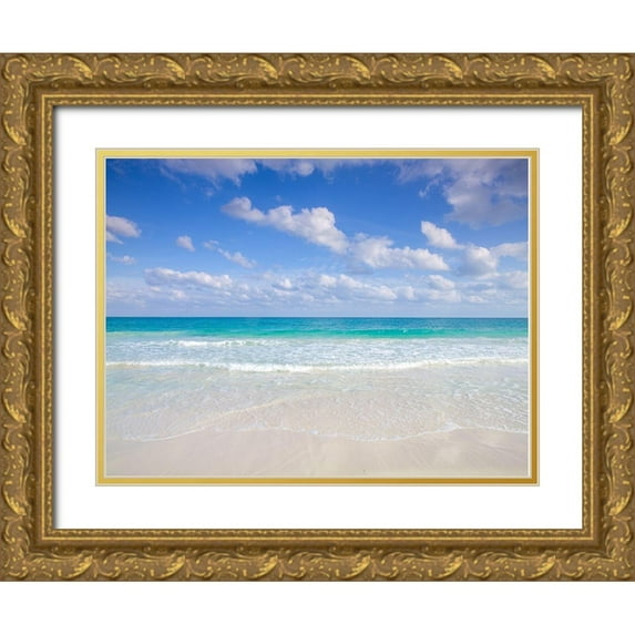 Frank, Assaf 18x15 Gold Ornate Wood Framed with Double Matting Museum Art Print Titled - Cancun beach-Mexico