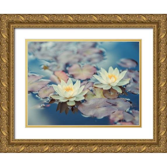 Frank, Assaf 18x15 Gold Ornate Wood Framed with Double Matting Museum Art Print Titled - Lotus in pond