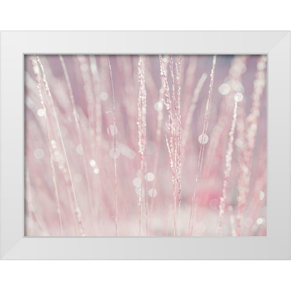 Frank, Assaf 18x15 White Modern Wood Framed Museum Art Print Titled - Dried grass