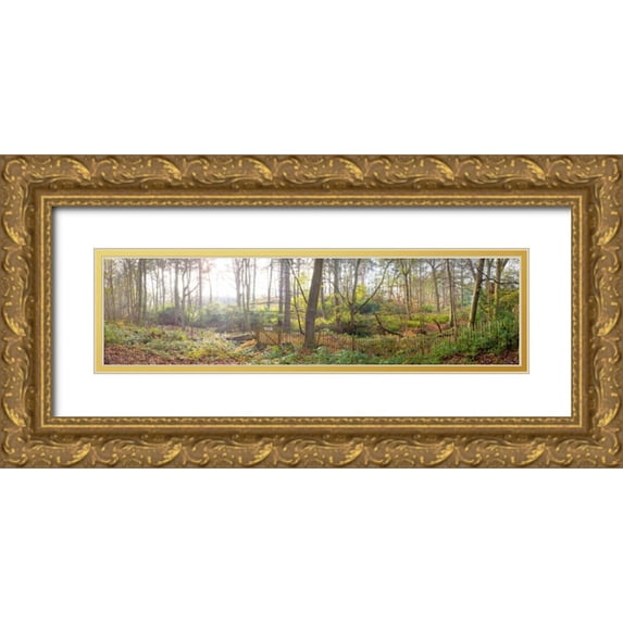 Frank, Assaf 18x8 Gold Ornate Wood Framed with Double Matting Museum Art Print Titled - Canal through forest in countryside