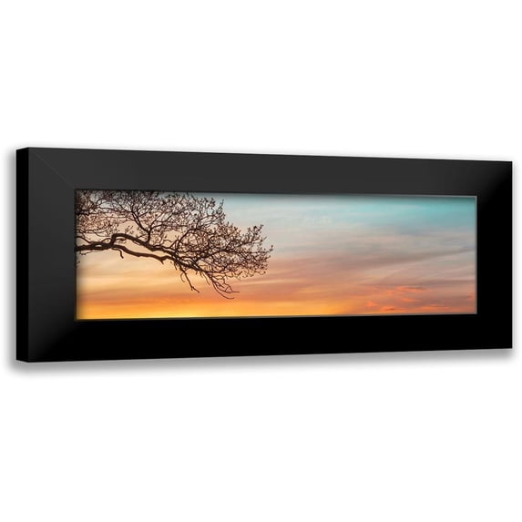 Frank, Assaf 18x9 Black Modern Framed Museum Art Print Titled - Branches at sunset