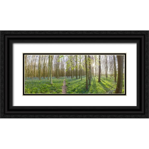 Frank, Assaf 18x9 Black Ornate Wood Framed with Double Matting Museum Art Print Titled - Spring forest with tall trees