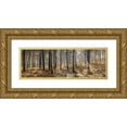 thumbnail image 1 of Frank, Assaf 18x9 Gold Ornate Wood Framed with Double Matting Museum Art Print Titled - Autumn forest, 1 of 4