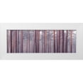 thumbnail image 1 of Frank, Assaf 18x9 White Modern Wood Framed Museum Art Print Titled - Tree trunks, 1 of 4