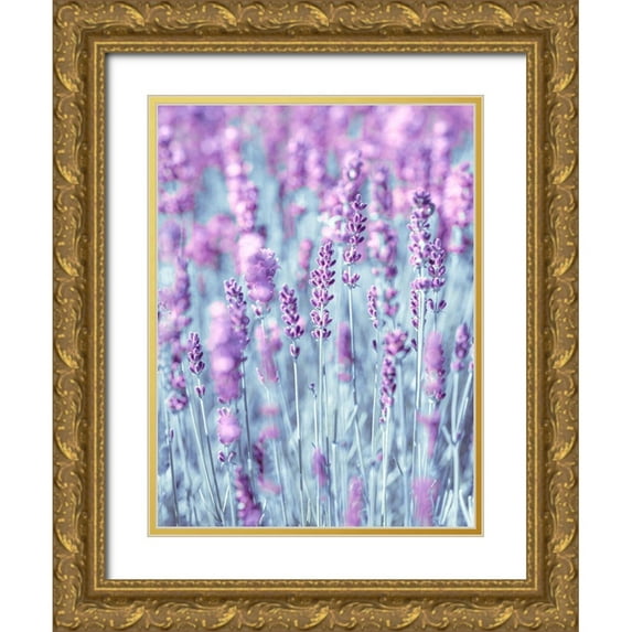 Frank, Assaf 19x24 Gold Ornate Wood Framed with Double Matting Museum Art Print Titled - Lavender