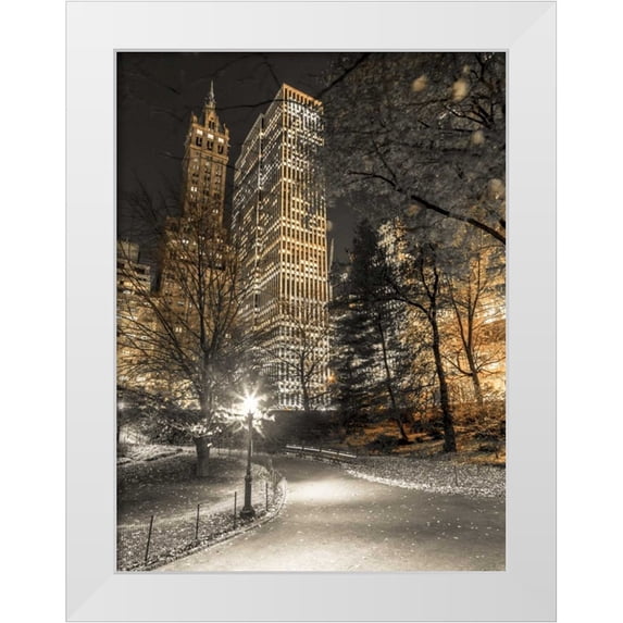Frank, Assaf 19x24 White Modern Wood Framed Museum Art Print Titled - Evening view of Central Park in New York City
