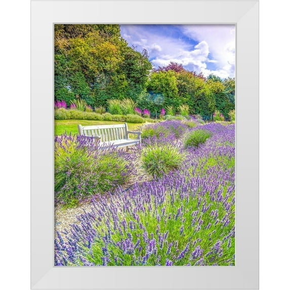 Frank, Assaf 19x24 White Modern Wood Framed Museum Art Print Titled - Lavender field