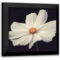 thumbnail image 1 of Frank, Assaf 20x20 Black Modern Framed Museum Art Print Titled - Cosmos II, 1 of 5