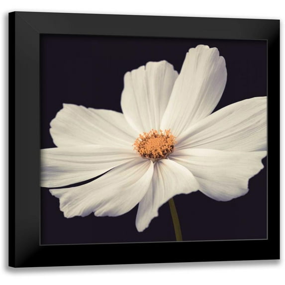 Frank, Assaf 20x20 Black Modern Framed Museum Art Print Titled - Cosmos II