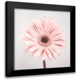 thumbnail image 1 of Frank, Assaf 20x20 Black Modern Framed Museum Art Print Titled - Gerbera Flower - FTBR-1926, 1 of 5