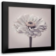 thumbnail image 1 of Frank, Assaf 20x20 Black Modern Framed Museum Art Print Titled - Zinnia flower, 1 of 5