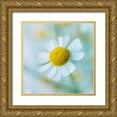 thumbnail image 1 of Frank, Assaf 20x20 Gold Ornate Wood Framed with Double Matting Museum Art Print Titled - Bunch of colorful Roses in a jar, 1 of 4