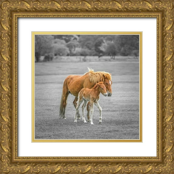 Frank, Assaf 20x20 Gold Ornate Wood Framed with Double Matting Museum Art Print Titled - Horse with Foal