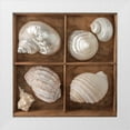 thumbnail image 1 of Frank, Assaf 20x20 White Modern Wood Framed Museum Art Print Titled - Seashells Treasures II, 1 of 4