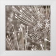thumbnail image 1 of Frank, Assaf 20x20 White Modern Wood Framed Museum Art Print Titled - Silver Alliums, 1 of 4