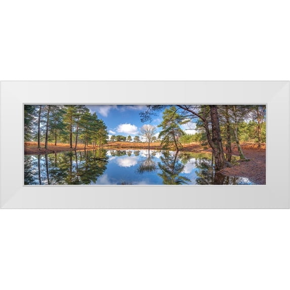 Frank, Assaf 24x11 White Modern Wood Framed Museum Art Print Titled - Canal through forest