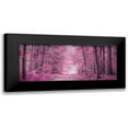 thumbnail image 1 of Frank, Assaf 24x12 Black Modern Framed Museum Art Print Titled - Pathway through Autumn forest, 1 of 5