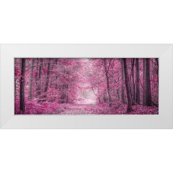 Frank, Assaf 24x12 White Modern Wood Framed Museum Art Print Titled - Pathway through Autumn forest
