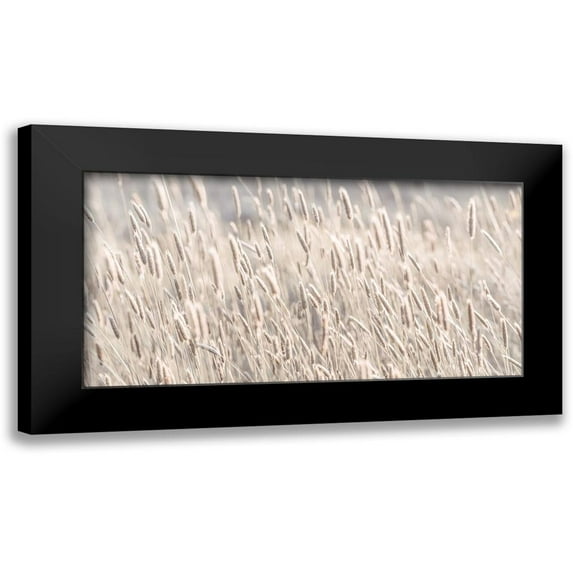 Frank, Assaf 24x14 Black Modern Framed Museum Art Print Titled - Grass in meadow