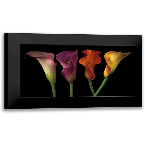 Frank, Assaf 24x14 Black Modern Framed Museum Art Print Titled - Jewel Calla Lilies