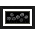 thumbnail image 1 of Frank, Assaf 24x14 Black Ornate Wood Framed with Double Matting Museum Art Print Titled - Dandelion flowers over black background, 1 of 4