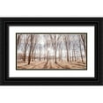 thumbnail image 1 of Frank, Assaf 24x14 Black Ornate Wood Framed with Double Matting Museum Art Print Titled - Sun shining through trees, 1 of 4
