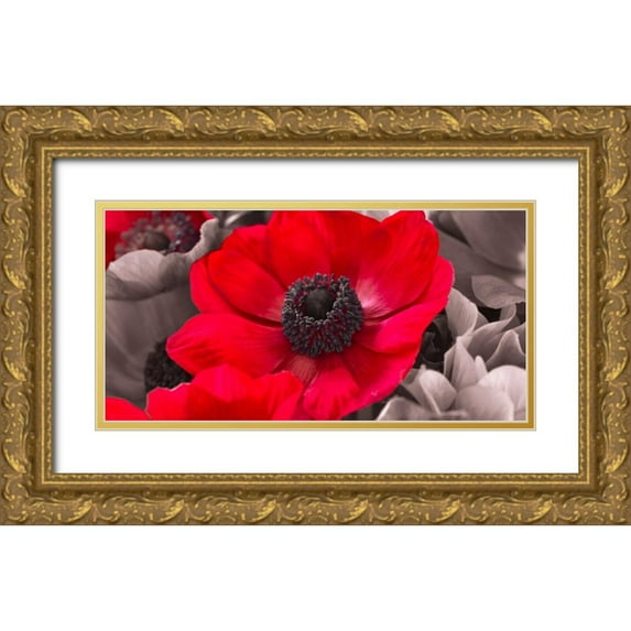 Frank, Assaf 24x14 Gold Ornate Wood Framed with Double Matting Museum Art Print Titled - AF20111223 Anemone 008C15-2 Red