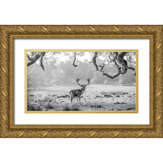 Frank, Assaf 24x15 Gold Ornate Wood Framed with Double Matting Museum Art Print Titled - Stag in a field