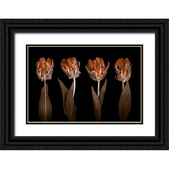 Frank, Assaf 24x17 Black Ornate Wood Framed with Double Matting Museum Art Print Titled - Rococo Tulips