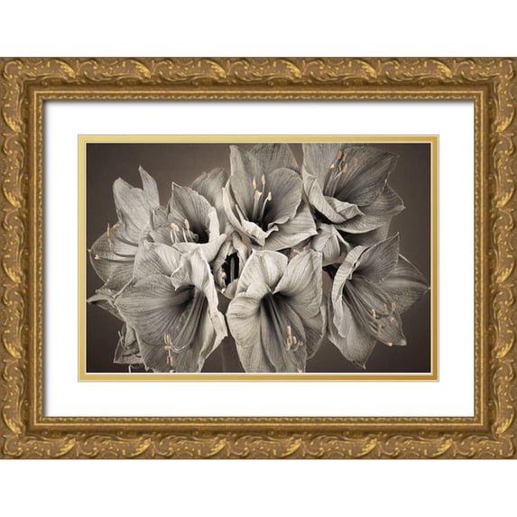 Frank, Assaf 24x17 Gold Ornate Wood Framed with Double Matting Museum Art Print Titled - Grand Floral